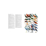Collins Birds of the World - All 10,711 Species Illustrated