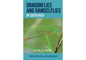 Dragonflies and Damselflies of Costa Rica