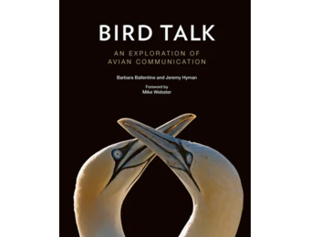 Bird Talk