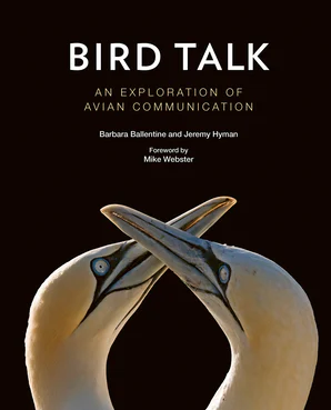 Bird Talk - An Exploration of Avian Communication