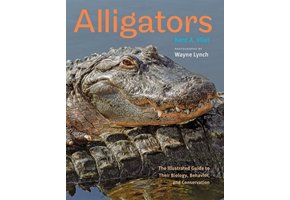 Alligators