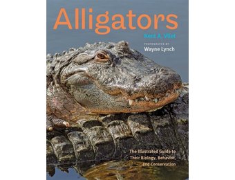 Alligators