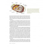 Alligators - The Illustrated Guide to Their Biology, Behavior, and Conservation