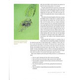 Alligators - The Illustrated Guide to Their Biology, Behavior, and Conservation