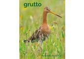 Grutto