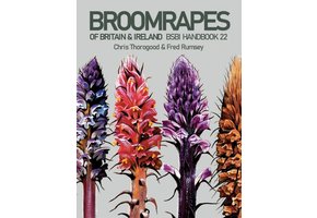 Broomrapes of Britain & Ireland