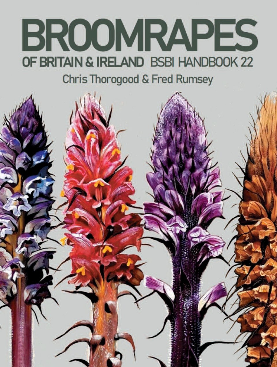 Broomrapes of Britain & Ireland - BSBI Handbook 22