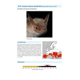 Bat Calls of Britain and Europe - A Guide to Species Identification