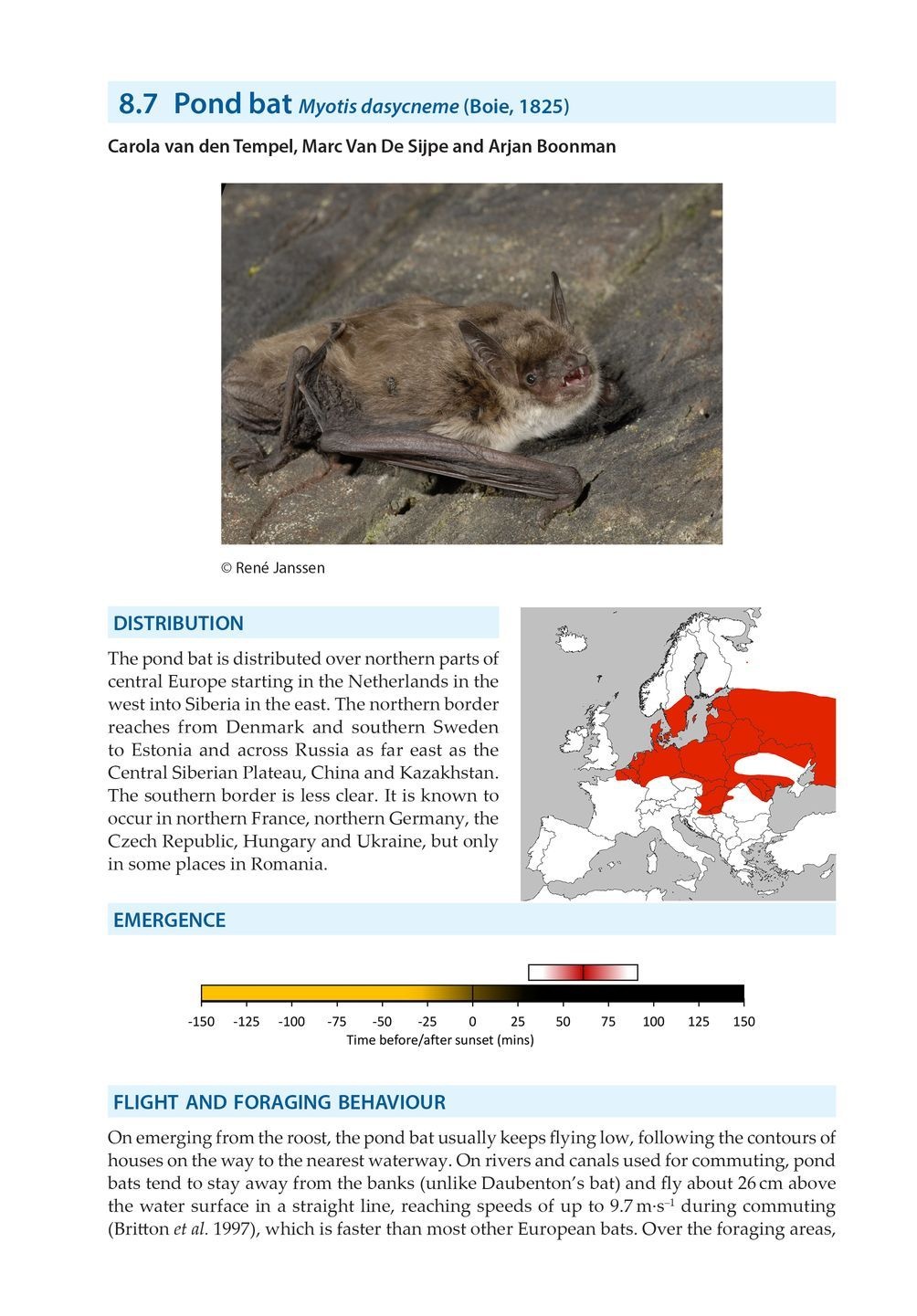 Bat Calls of Britain and Europe - A Guide to Species Identification