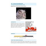 Bat Calls of Britain and Europe - A Guide to Species Identification