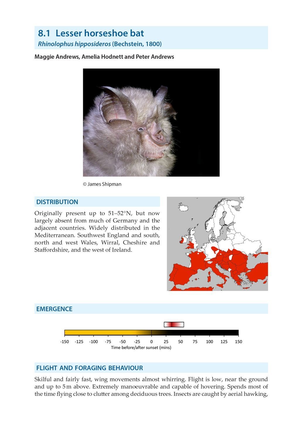 Bat Calls of Britain and Europe - A Guide to Species Identification