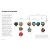 Coral Reefs - A Natural History