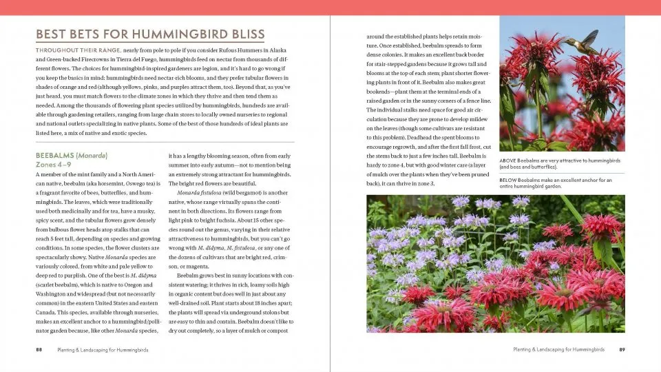 The Hummingbird Handbook - Veldshop.nl