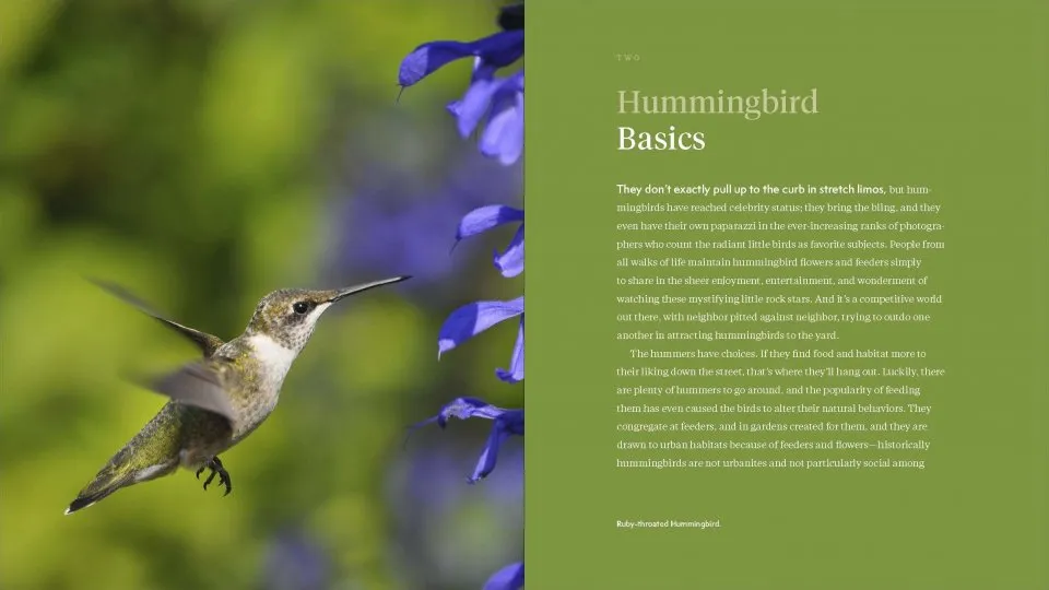 The Hummingbird Handbook - Everything You Need to Know about These Fascinating Birds