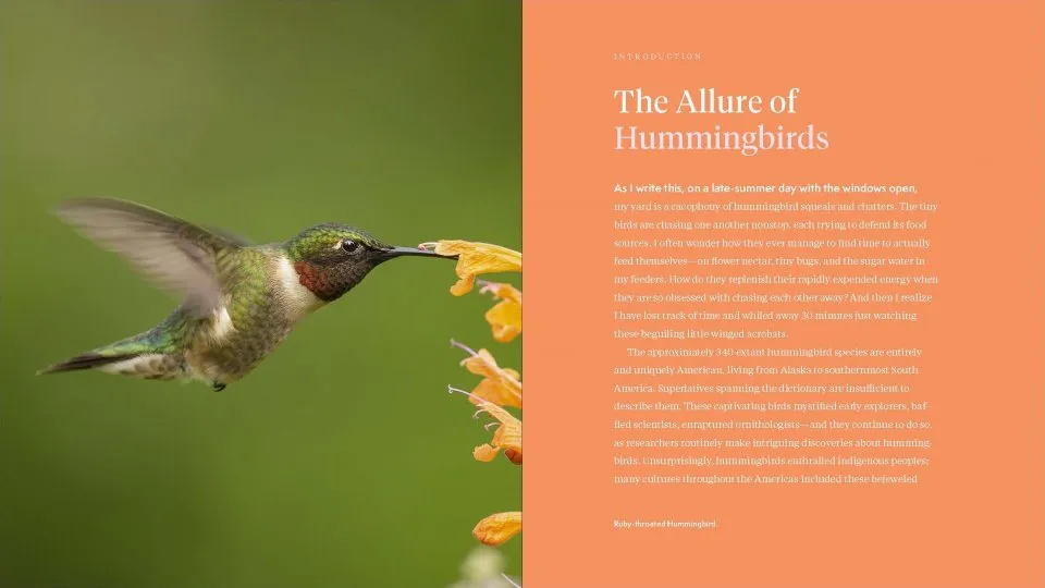 The Hummingbird Handbook - Everything You Need to Know about These Fascinating Birds