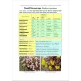 Plants and Habitats - An Introduction to Common Plants and Their Habitats in Britain and Ireland
