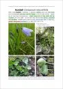 Plants and Habitats - An Introduction to Common Plants and Their Habitats in Britain and Ireland