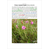 Plants and Habitats - An Introduction to Common Plants and Their Habitats in Britain and Ireland