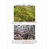Plants and Habitats - An Introduction to Common Plants and Their Habitats in Britain and Ireland