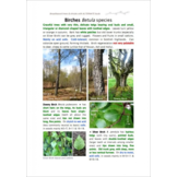 Plants and Habitats - An Introduction to Common Plants and Their Habitats in Britain and Ireland