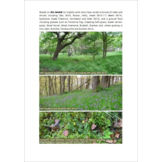 Plants and Habitats - An Introduction to Common Plants and Their Habitats in Britain and Ireland