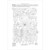 Plants and Habitats - An Introduction to Common Plants and Their Habitats in Britain and Ireland