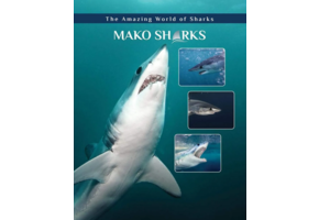Mako Sharks