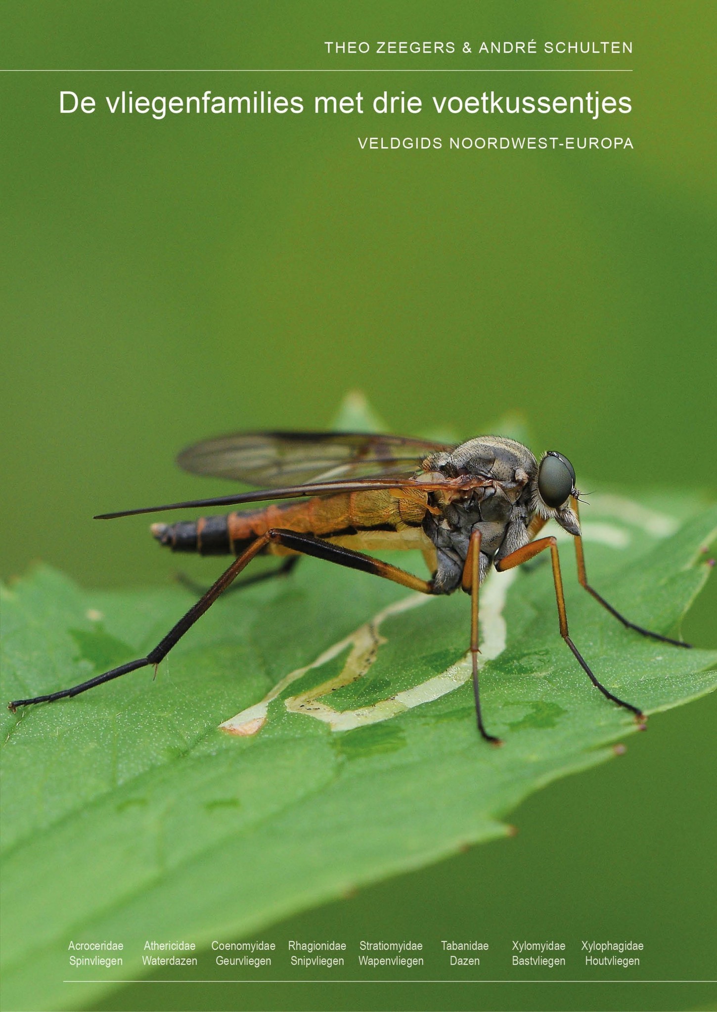 De vliegenfamilies met drie voetkussentjes - Veldgids Noordwest Europa