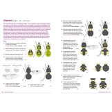 De vliegenfamilies met drie voetkussentjes - Veldgids Noordwest Europa