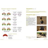 De vliegenfamilies met drie voetkussentjes - Veldgids Noordwest Europa