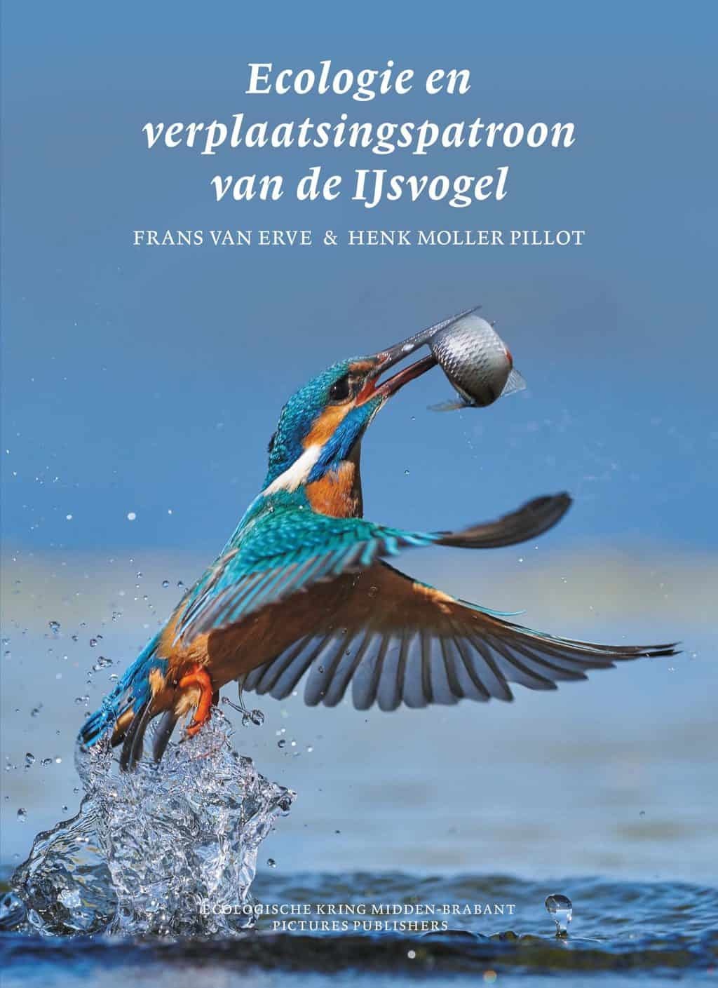 Ecologie en verplaatsingspatroon van de IJsvogel