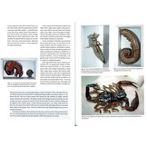 Specimen-making and Preservation of Invertebrates - Basics