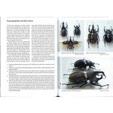 Specimen-making and Preservation of Invertebrates - Basics