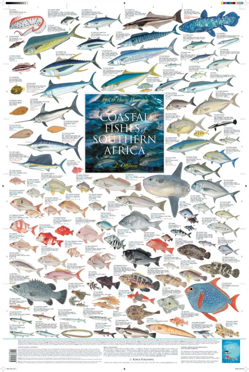 Coastal Fishes of Southern Africa, 2: Offshore Poster
