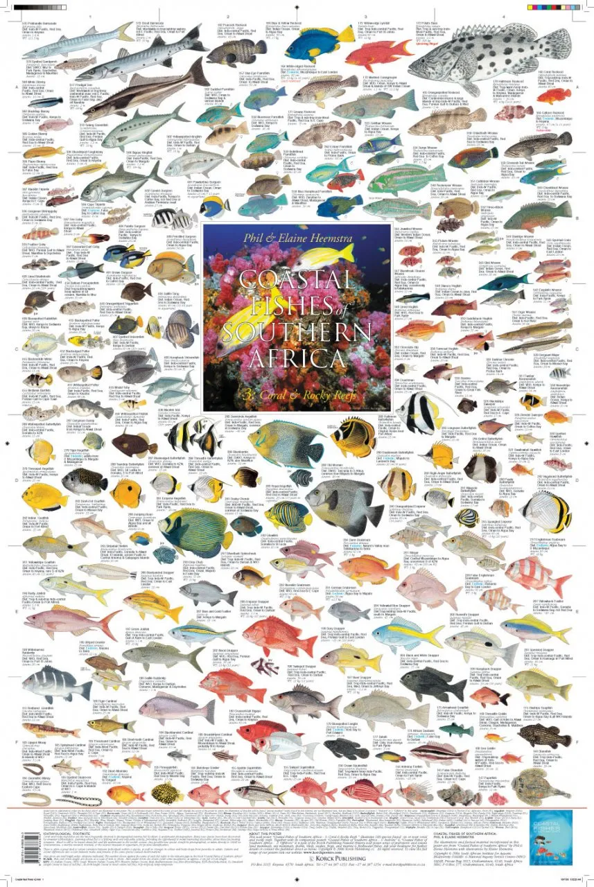 Coastal Fishes of Southern Africa, 3: Coral and Rocky Reefs Poster