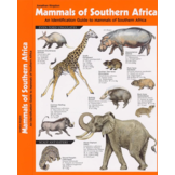 Zoogdieren van Zuid-Afrika - Een identificatiegids voor zoogdieren van zuidelijk Afrika