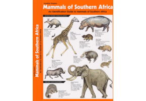 Zoogdieren van Zuid-Afrika