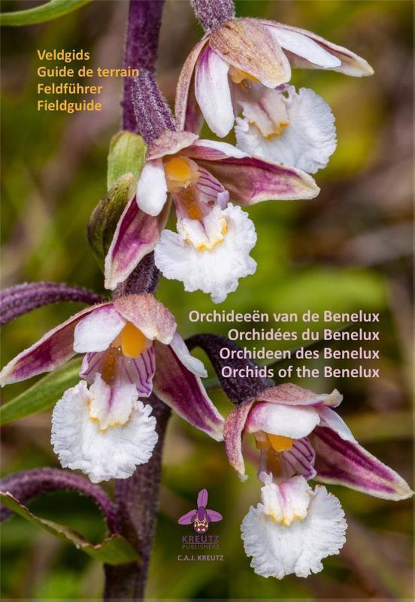 Fieldguide Orchids of the Benelux