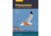 Meeuwen