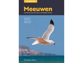 Meeuwen