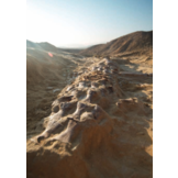 Praktijkgids Fossielen