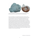 Praktijkgids Fossielen