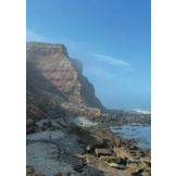 Praktijkgids Fossielen