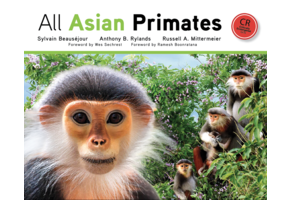 All Asian Primates