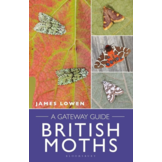 British Moths: A Gateway Guide