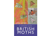British Moths