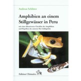 Amphibien an einem Stillgewässer in Peru - mit einer illustrierten Checklist der Amphibien und Reptilien des unteren Río Llullapichis