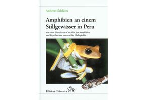 Amphibien an einem Stillgewässer in Peru