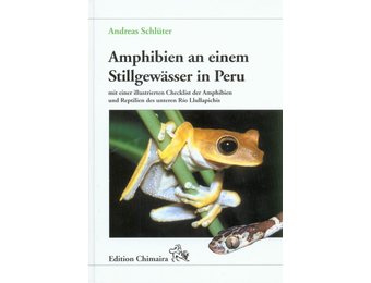 Amphibien an einem Stillgewässer in Peru