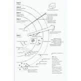 Amphibien an einem Stillgewässer in Peru - mit einer illustrierten Checklist der Amphibien und Reptilien des unteren Río Llullapichis